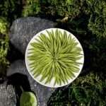 Biluochun Tea - Premium Chinese Green Tea | Spring Harvest 100g - Image 2